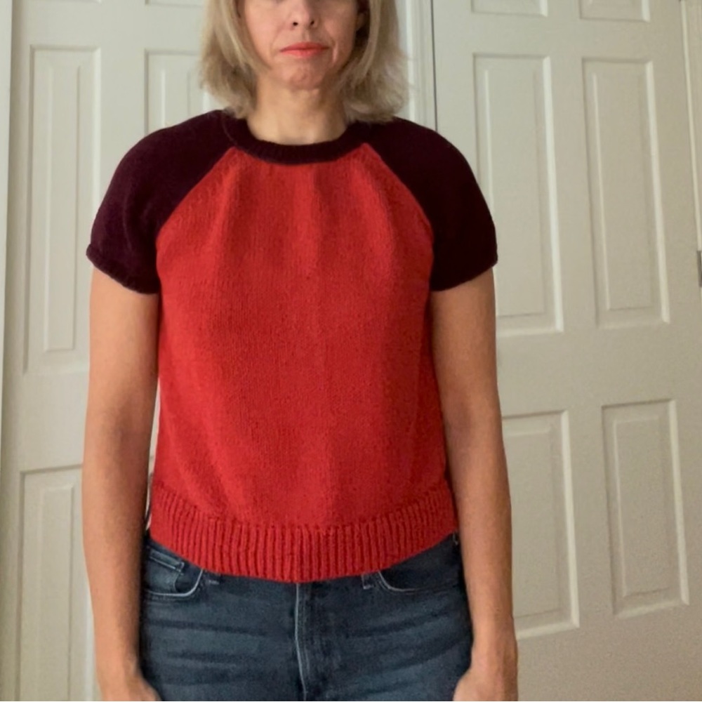 Madewell Color-Block Sweater Top - image 1